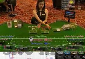 奥运会女排世界杯-奥运会女排世界杯，荣耀与挑战的交响曲